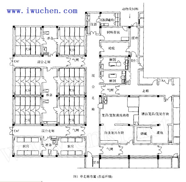 spf动物房工程布置图